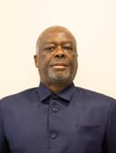 Balufu Bakupa-Kanyinda, Directeur Général